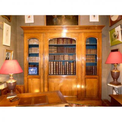 Bibliothéque Avec Tous Ces Livres Anciens