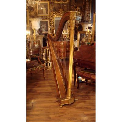 Harp XIXth Century