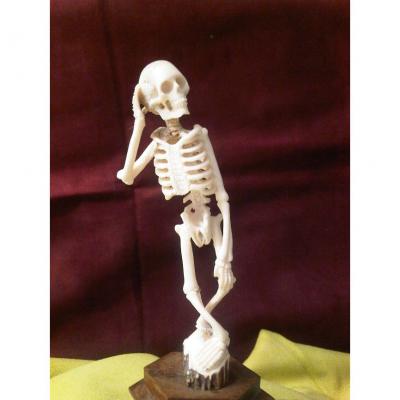 Cabinet De Curiosite-memento Mori -xix°