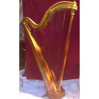 Harp 19th