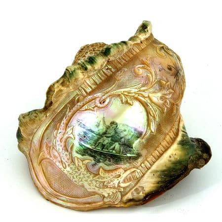 Coquillage gravé et polychromé (travail de bagnard)