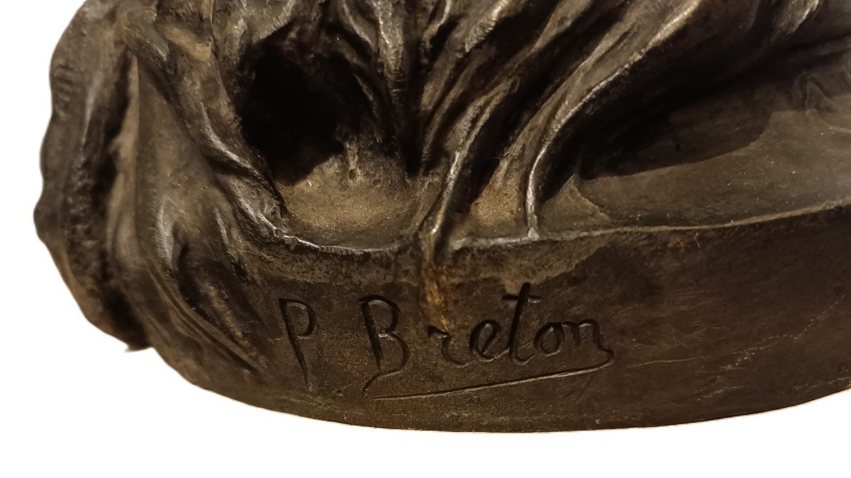Bronze De Salammbô - Par Paul-eugène Breton-photo-4