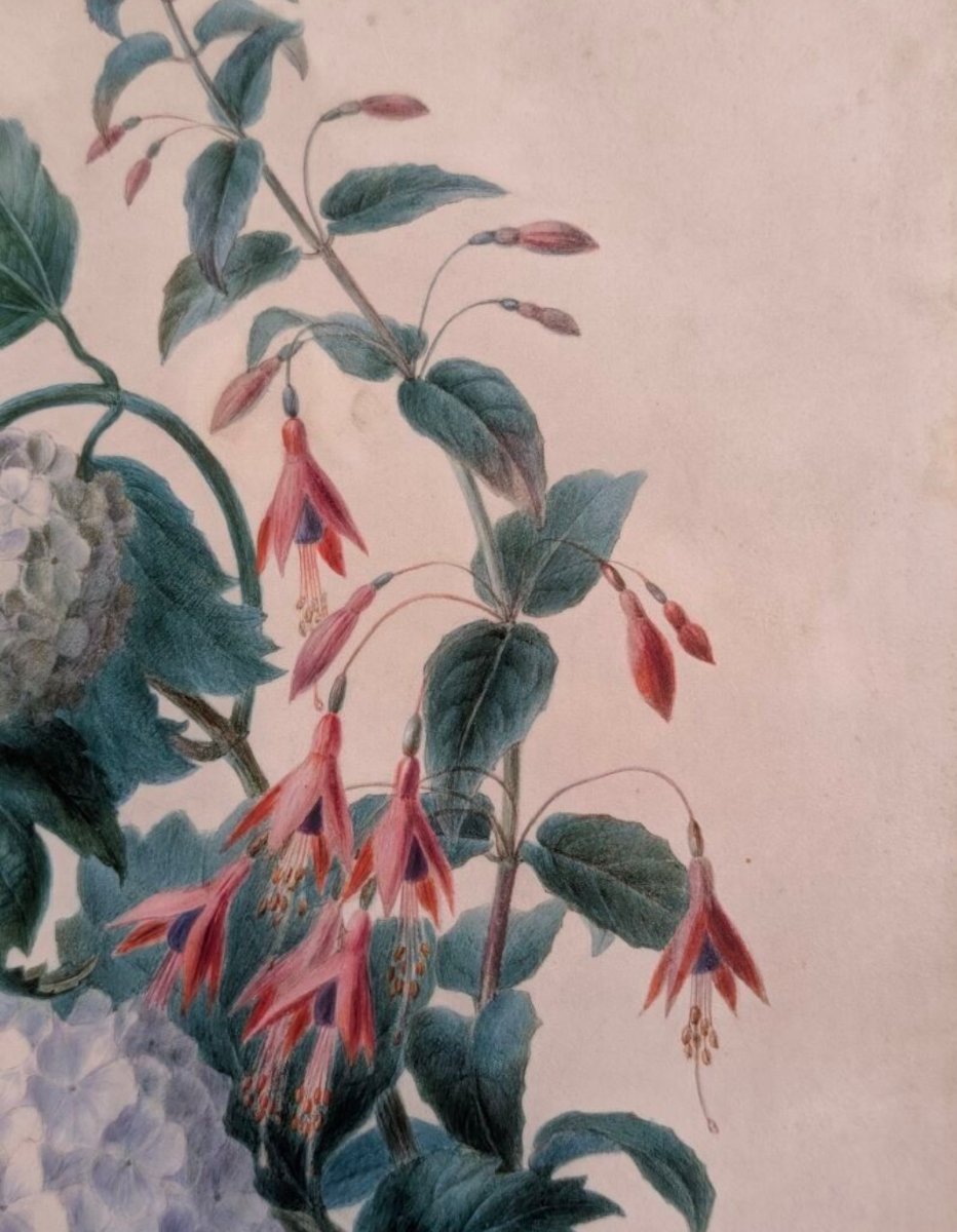 RICHE Adèle (1791-1887) - Jeté de Fleurs - Aquarelle Gouachée et Crayon noir sur Vélin-photo-3