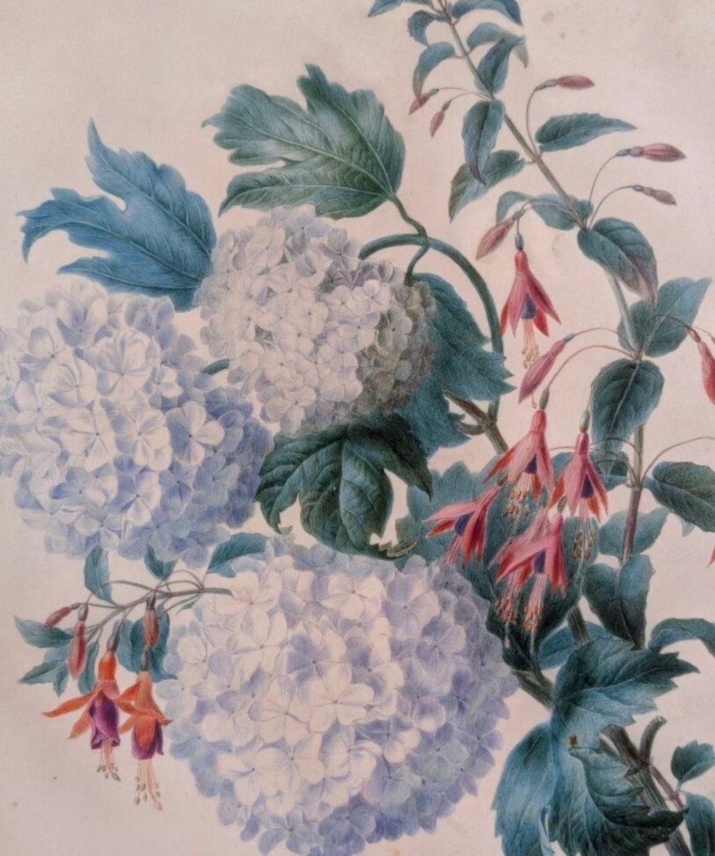 RICHE Adèle (1791-1887) - Jeté de Fleurs - Aquarelle Gouachée et Crayon noir sur Vélin-photo-4