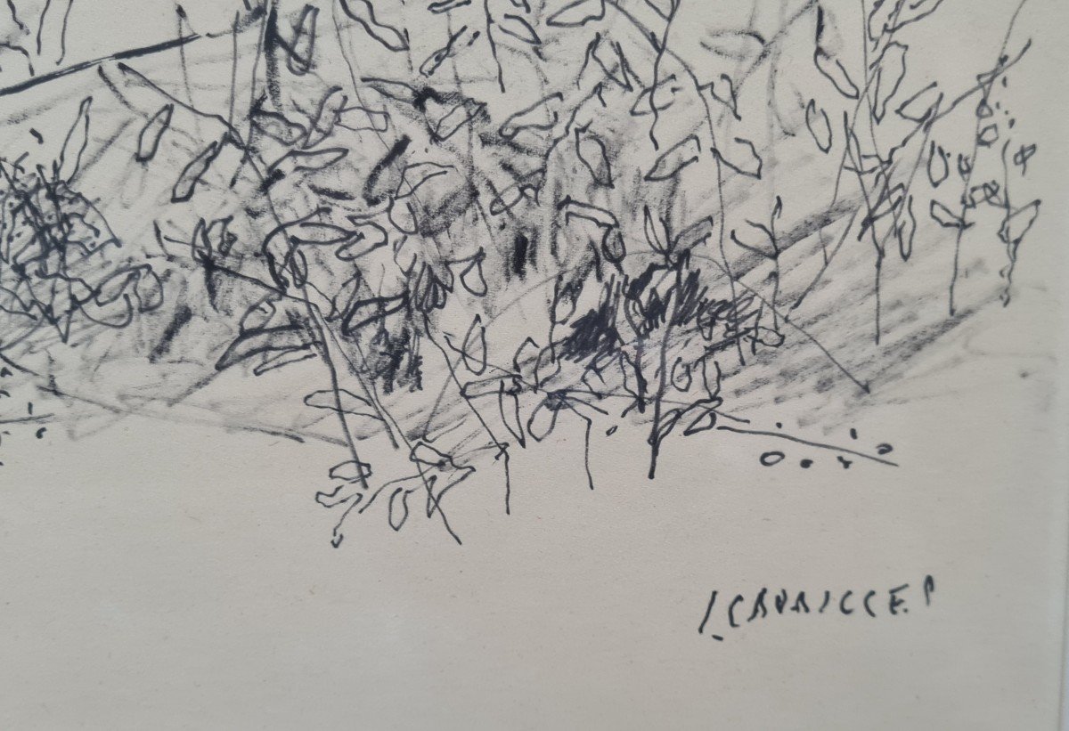 Jules Cavaillès Landscape-photo-3