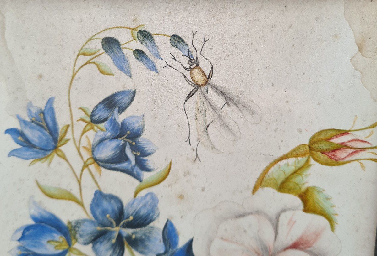 Bouquet Of Flowers In The 17th Century, Watercolor On Parchment -photo-3