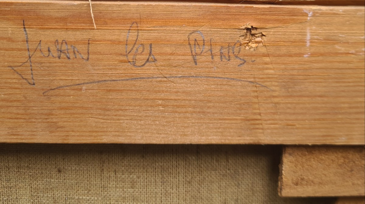 juan les pins-photo-4