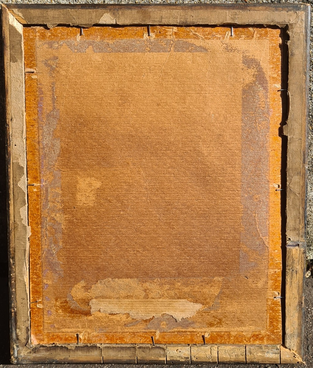 Chat volant dans une cuisine -photo-4