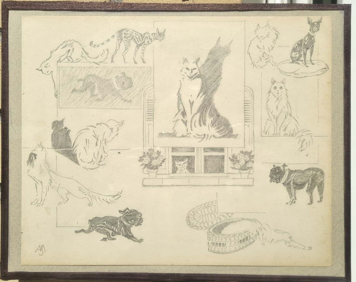 entre chats et chiens par Jacques Nam-photo-3