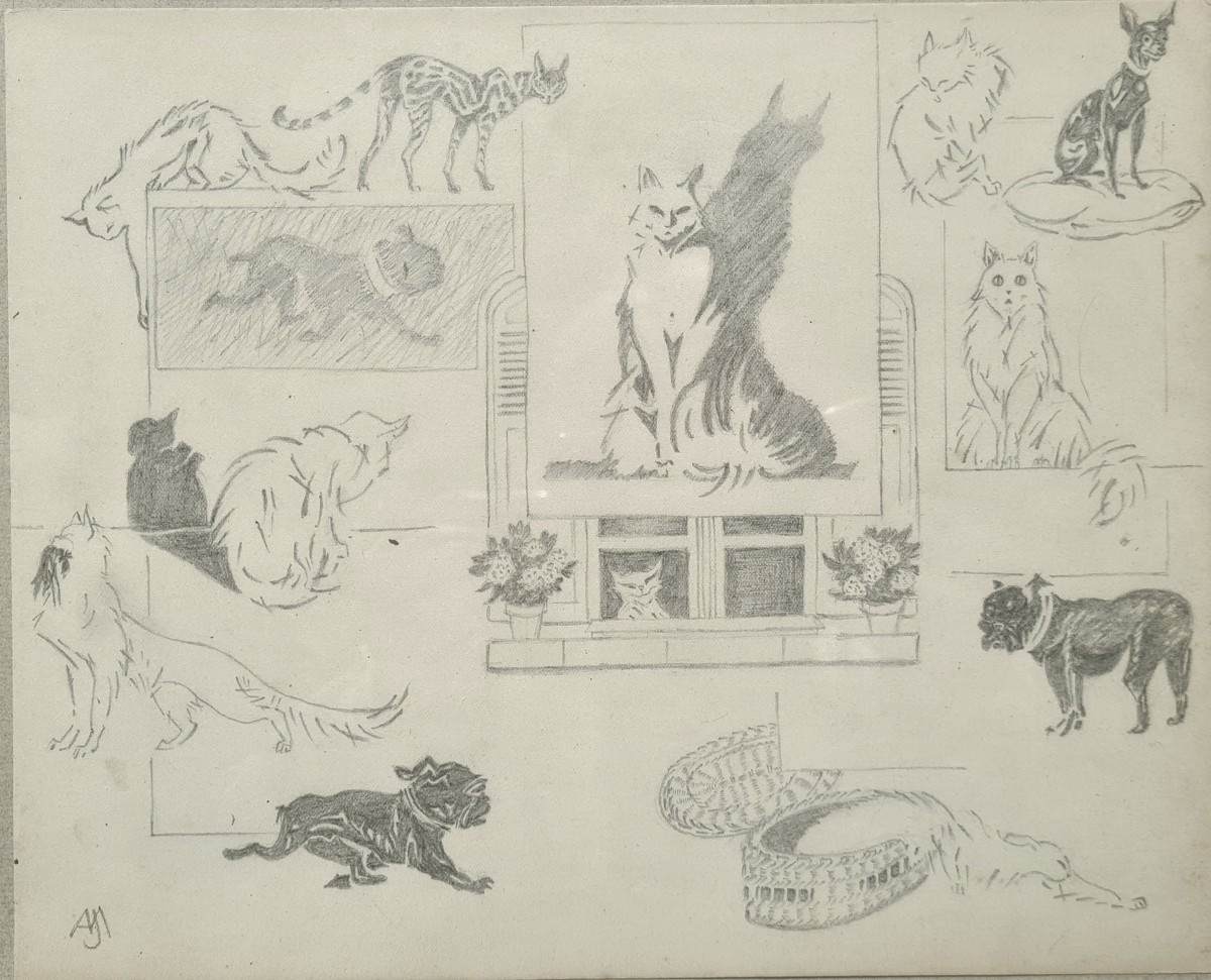 entre chats et chiens par Jacques Nam