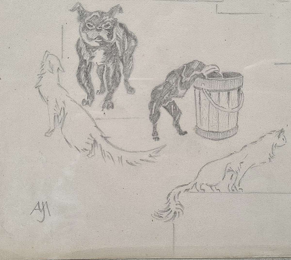 entre chat et chiens par Jacques Nam III-photo-2