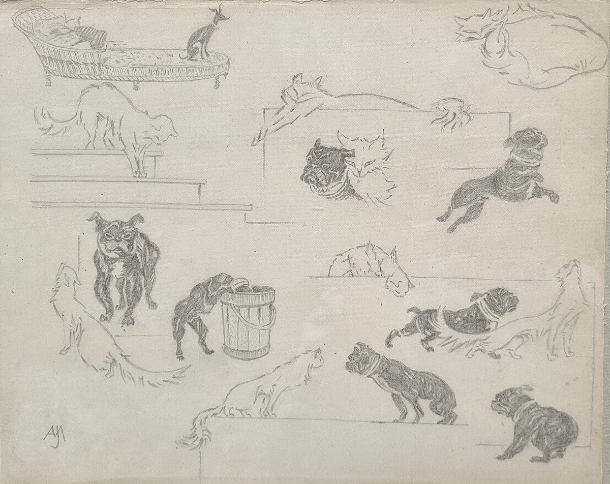 entre chat et chiens par Jacques Nam III