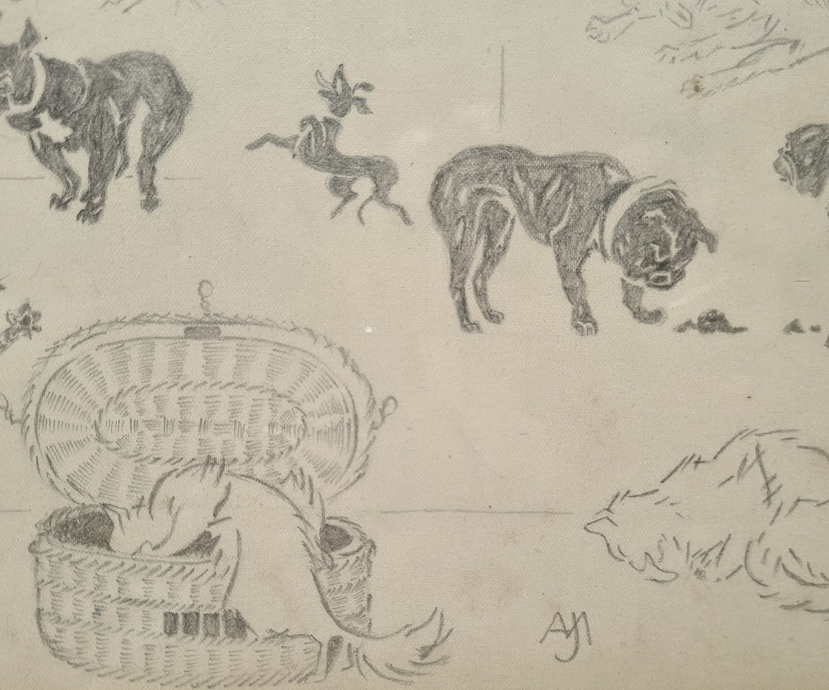 entre chats et chiens par Jacques Nam IV-photo-2