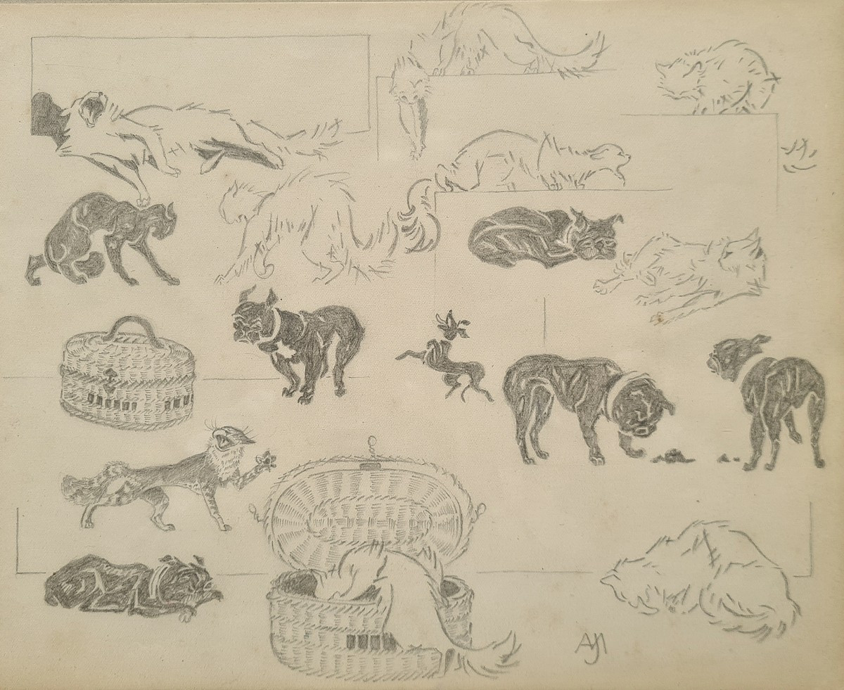 entre chats et chiens par Jacques Nam IV