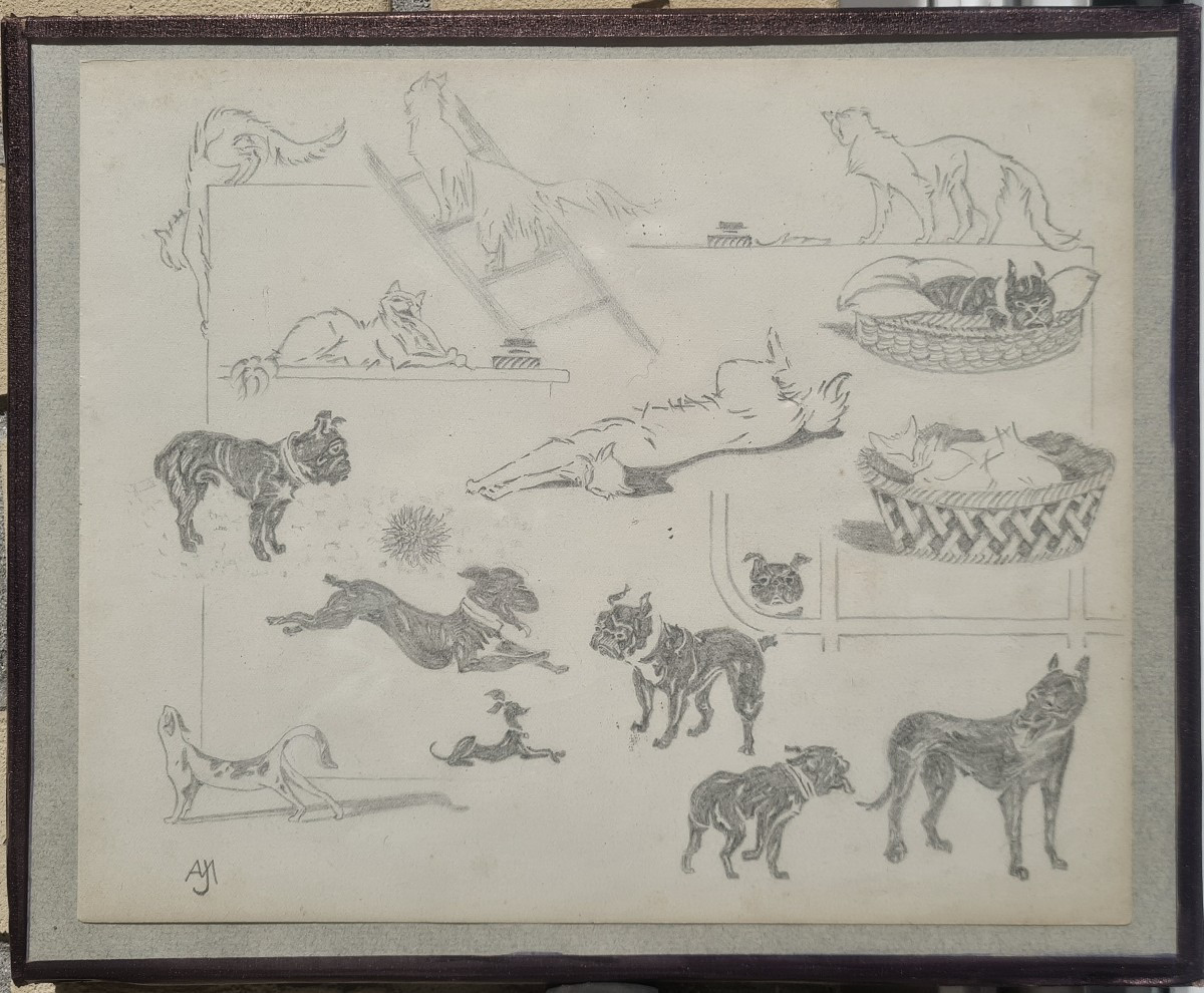 Entre chats et chiens par Jacques Nam V-photo-3