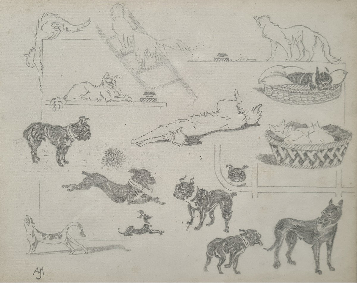 Entre chats et chiens par Jacques Nam V
