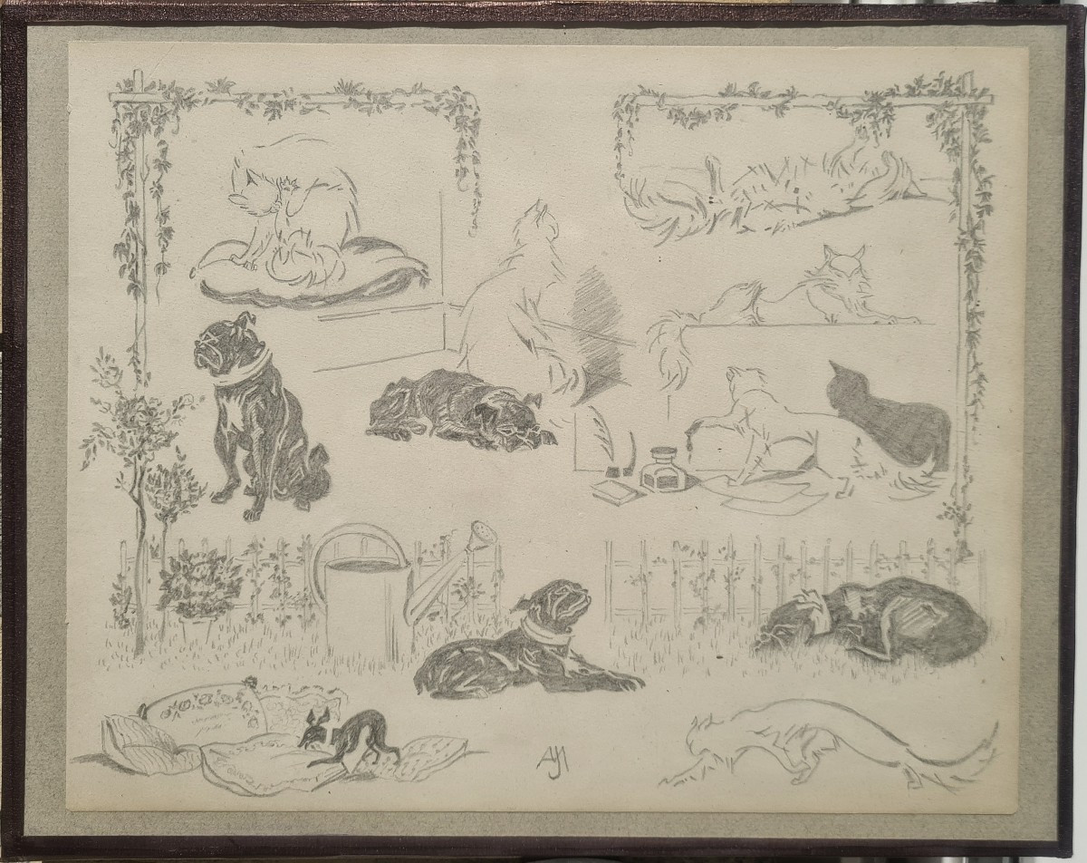 Between Cats And Dogs By Jacques Nam Vi-photo-2