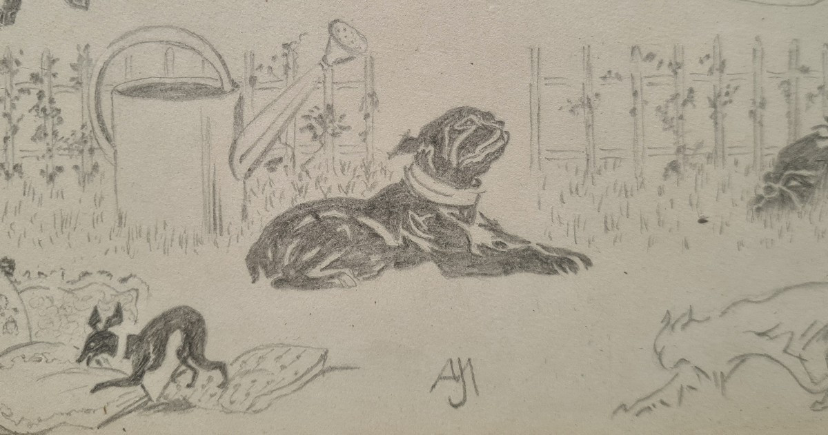 Between Cats And Dogs By Jacques Nam Vi-photo-3