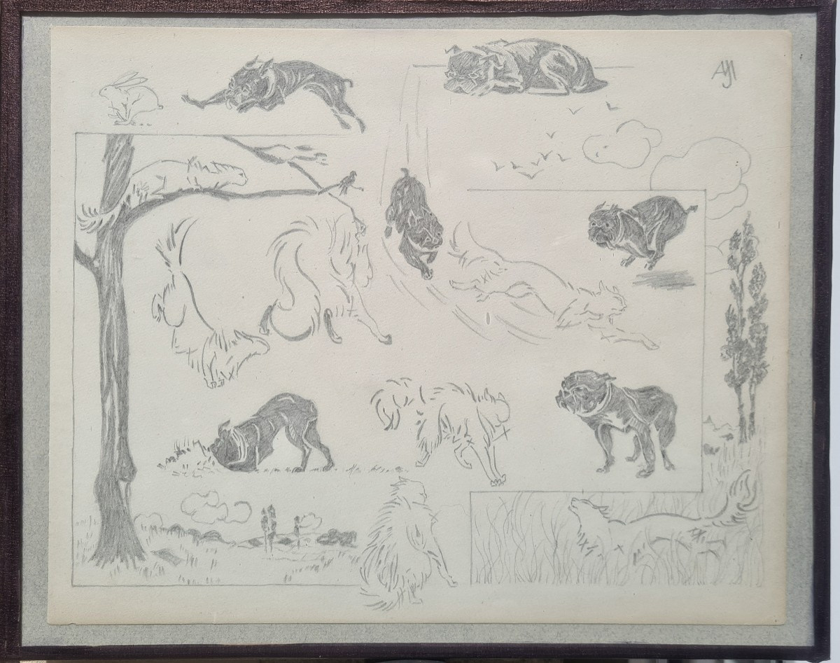 Between Cat And Dog By Jacques Nam VII-photo-2
