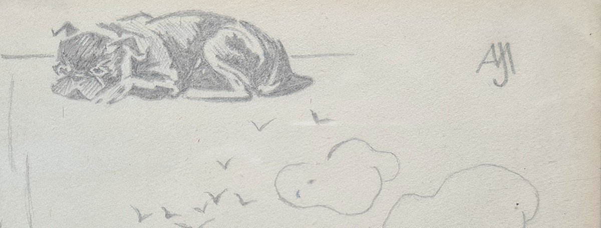Between Cat And Dog By Jacques Nam VII-photo-3