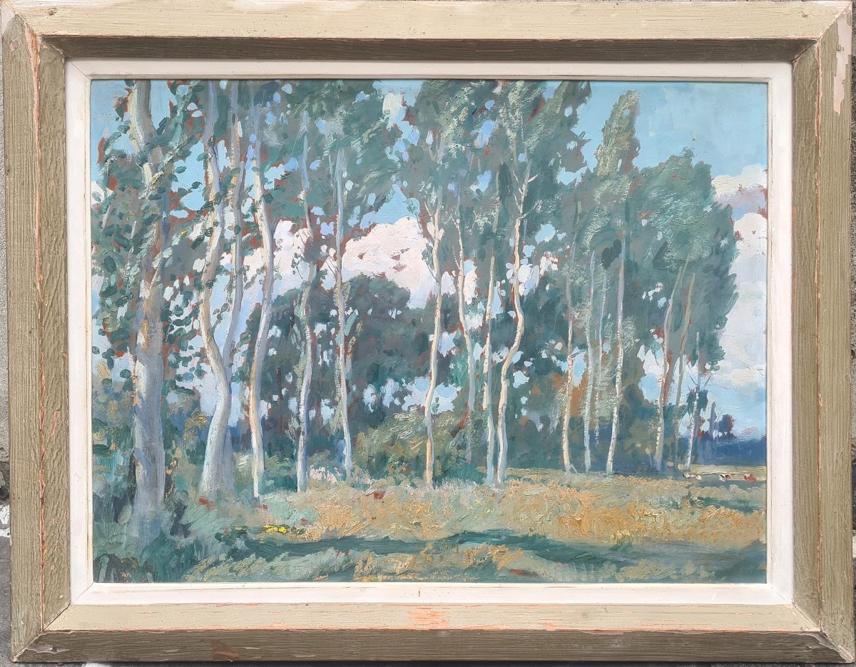 paysage de Lucien Jonas-photo-2
