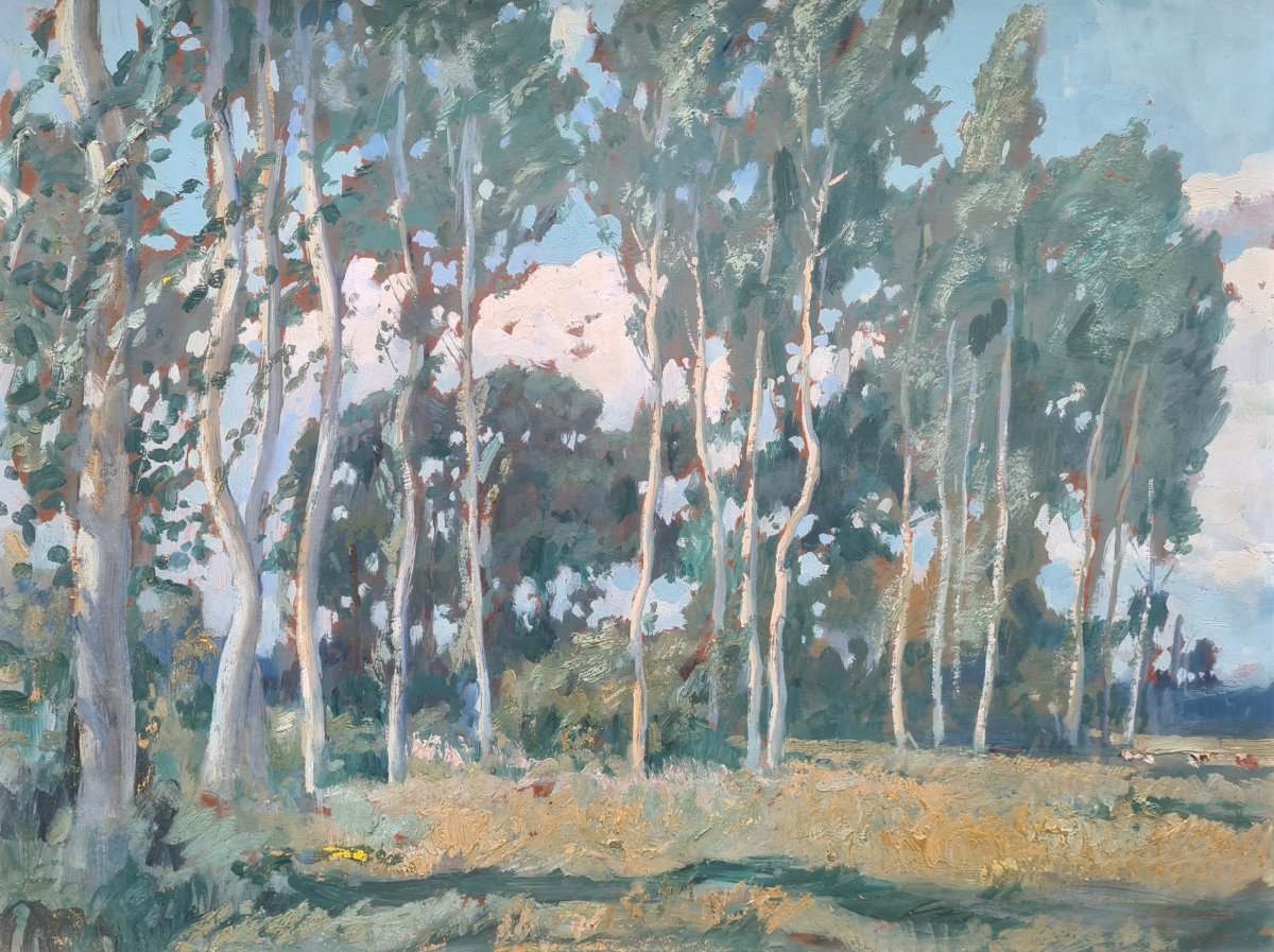 paysage de Lucien Jonas
