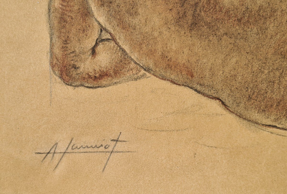 Alfred Janniot Drawing Odalisque-photo-3