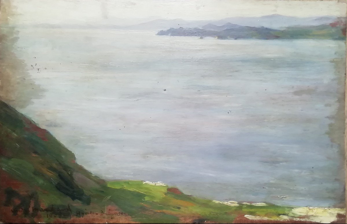 Paysage Hyères Andre Marchand