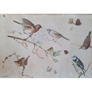 Edouard Mérite Birds