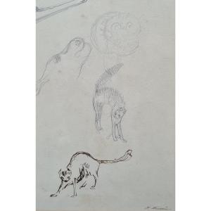 Prosper Mérimée Cats And Sketches 