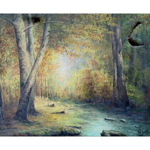 Sous-bois par Le hall 