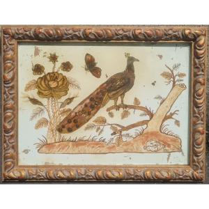 Peacock And Butterfly, Mounted Under Glass