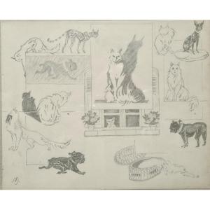 entre chats et chiens par Jacques Nam