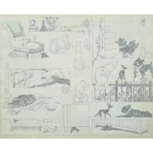 Entre chat et chiens II par Jacques Nam