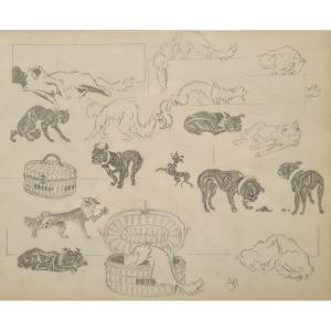 entre chats et chiens par Jacques Nam IV