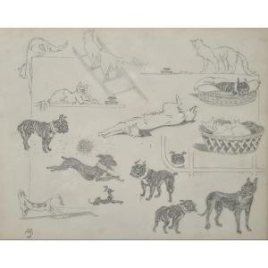 Entre chats et chiens par Jacques Nam V