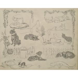 Entre chats et chiens par Jacques Nam VI