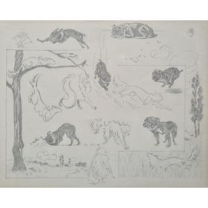 Between Cat And Dog By Jacques Nam VII