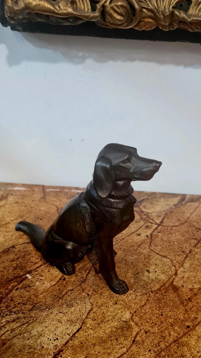 Sculpture Bronze Chien Fin XIX Eme Debut XX Eme -photo-2