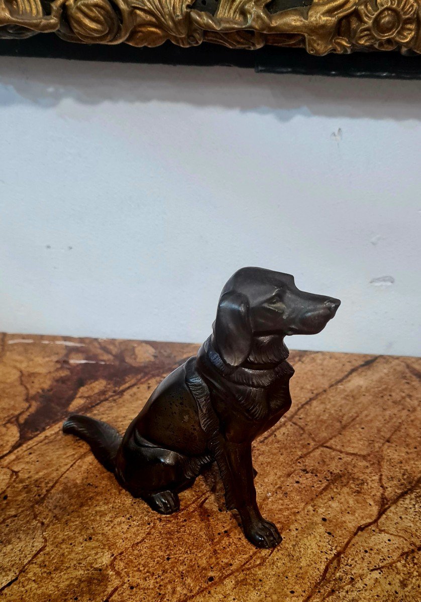 Sculpture Bronze Chien Fin XIX Eme Debut XX Eme -photo-3