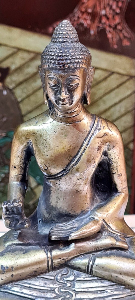 Boodha buddha -photo-3