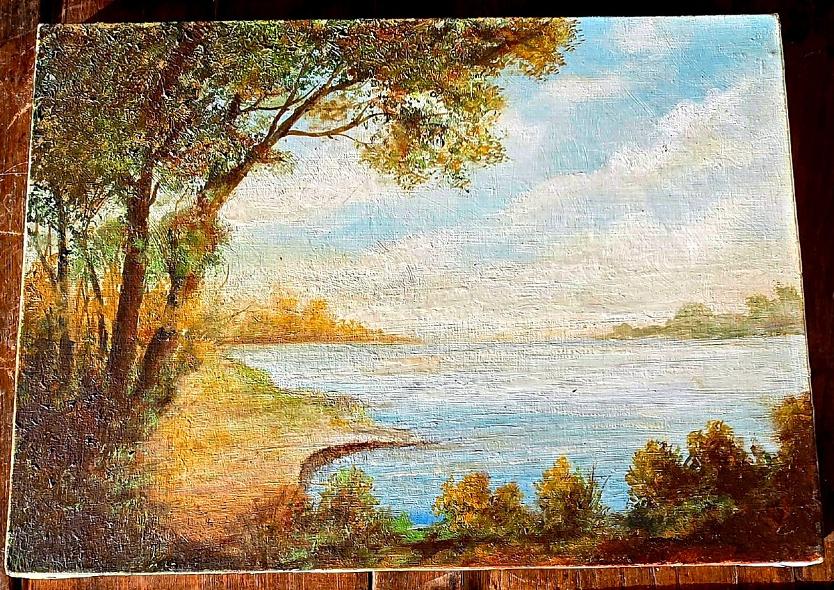 École française 1910–1930 Paysage lacustre huile sur toile  barbizon tableau peinture  1 