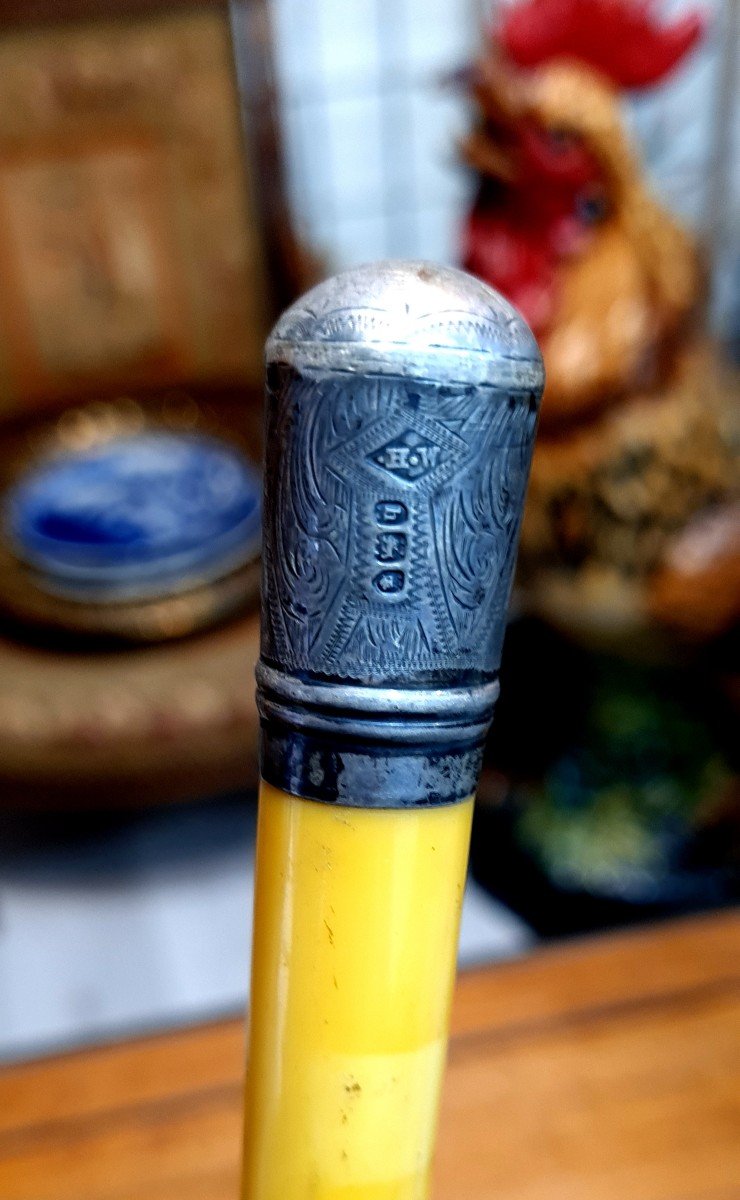 Walking Cane Child Or Stick Horse Epoque XIX Eme English Punches-photo-3