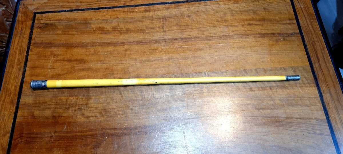 Walking Cane Child Or Stick Horse Epoque XIX Eme English Punches-photo-1