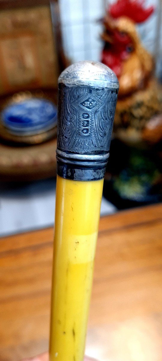 Walking Cane Child Or Stick Horse Epoque XIX Eme English Punches-photo-5