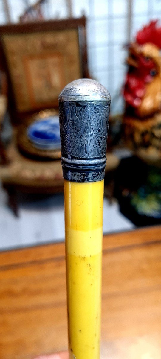 Walking Cane Child Or Stick Horse Epoque XIX Eme English Punches-photo-6