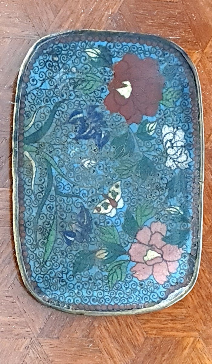Email Cloisonnė Frost China XIX Eme Chinese Enamel Naturalist Butterfly
