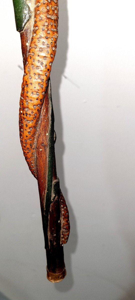 Carved Cane Of Hairy Polychrome Zoomorphic Goose Snake Folk Art Naturalist Clovers Vines-photo-3