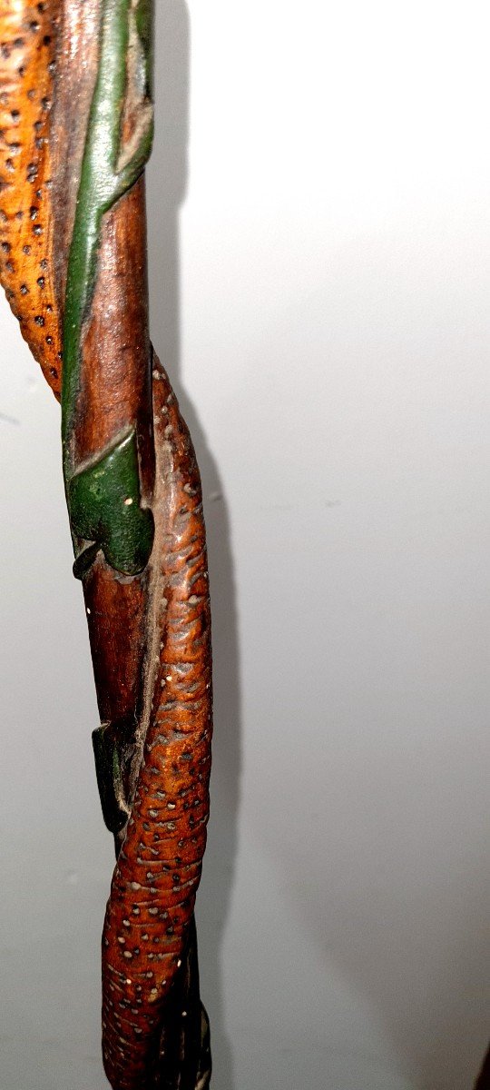 Carved Cane Of Hairy Polychrome Zoomorphic Goose Snake Folk Art Naturalist Clovers Vines-photo-5