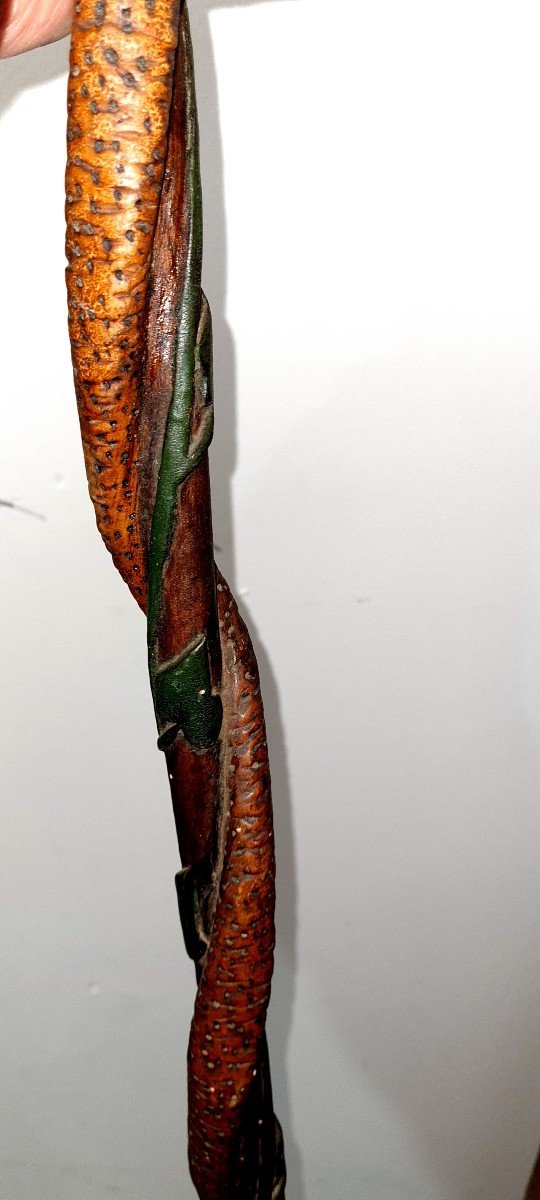 Carved Cane Of Hairy Polychrome Zoomorphic Goose Snake Folk Art Naturalist Clovers Vines-photo-6